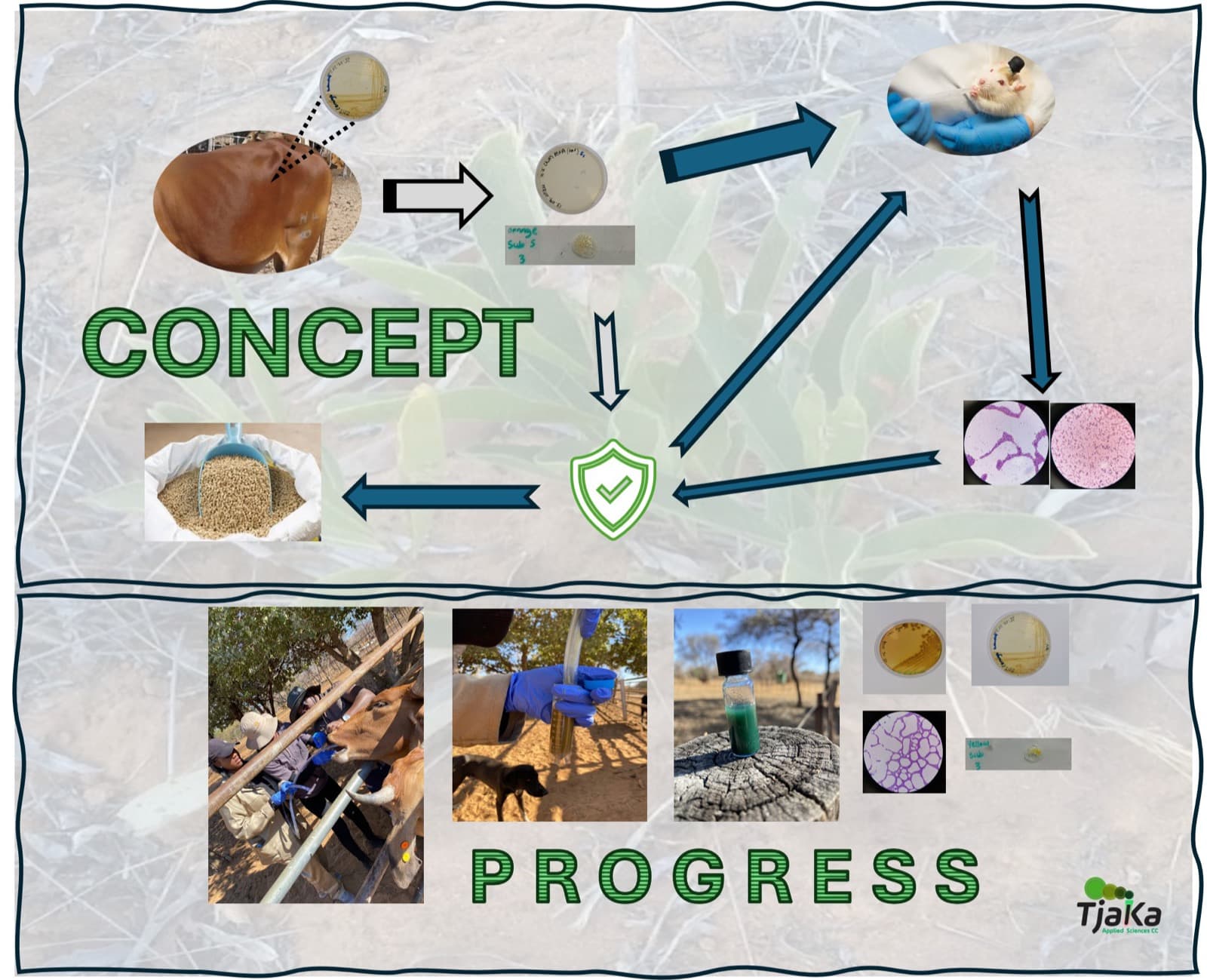 AntiFlopos: Sustainable Agriculture